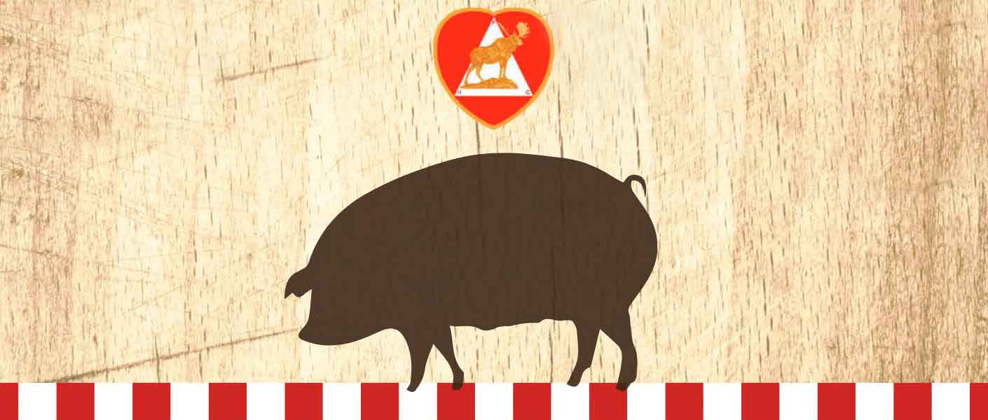 moose pigroast